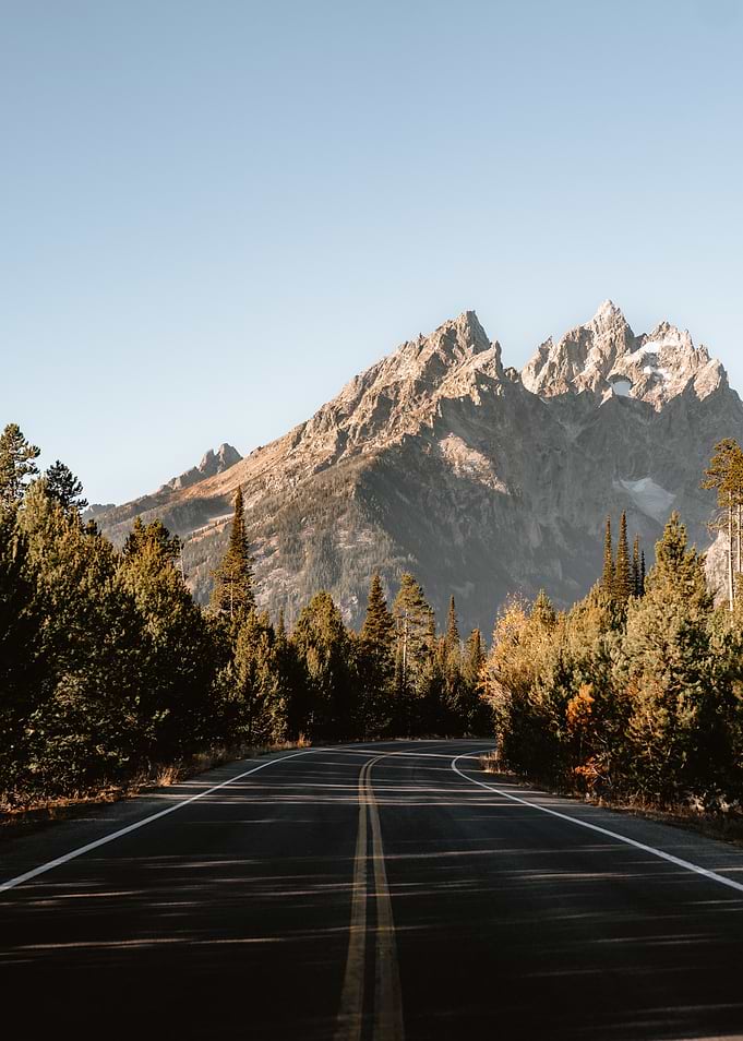 Forest road to Mountains
