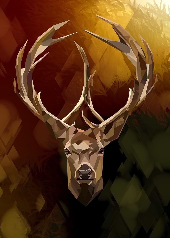 Stag