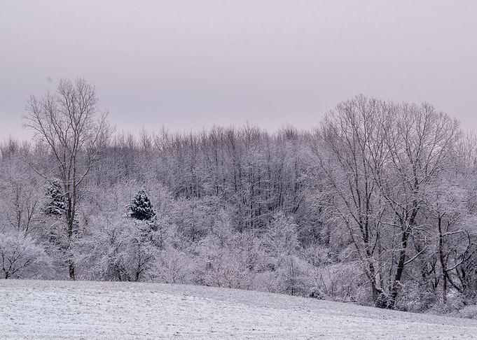 The Cold Winters