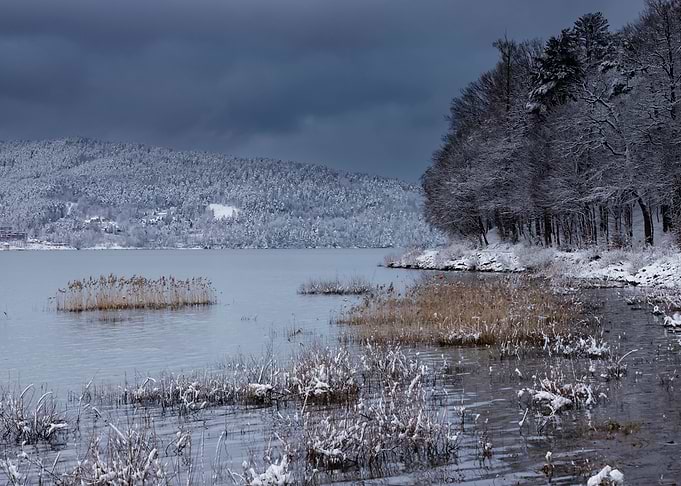Winter trees, frozen lake