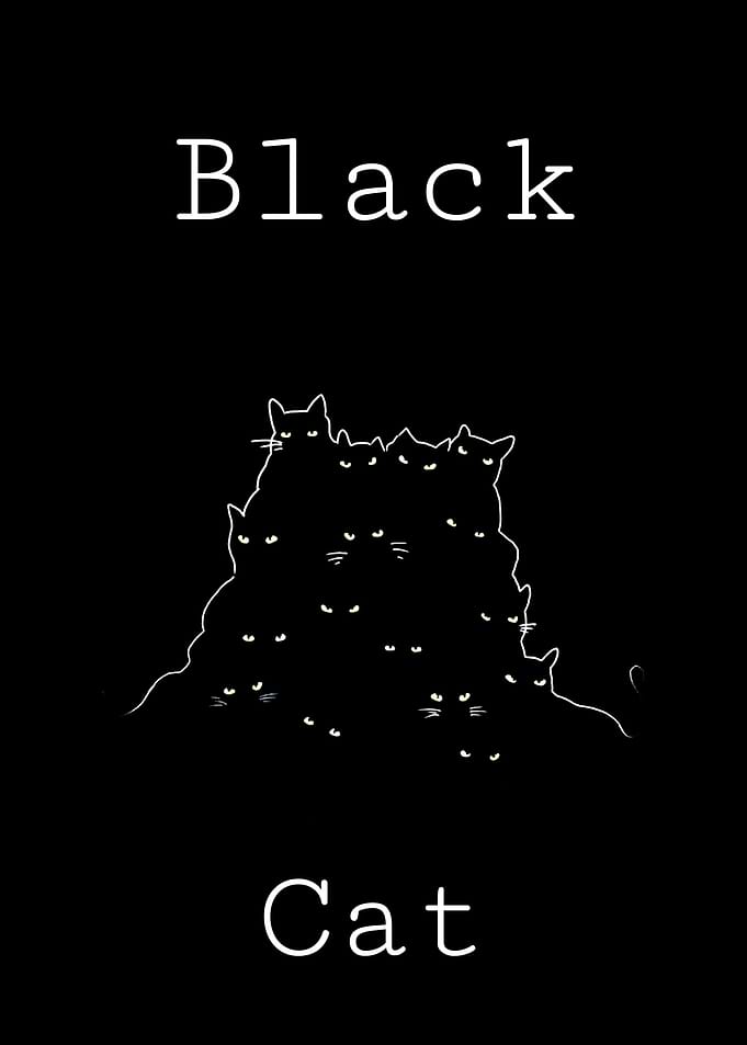 black cat