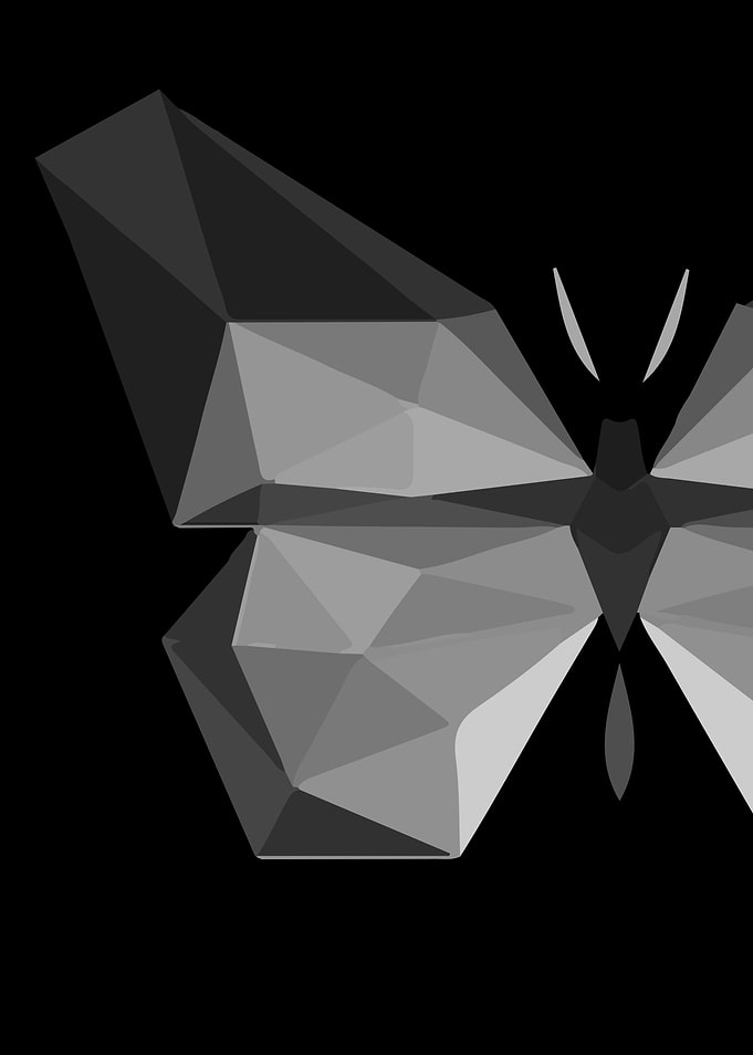 BUTTERFLY DARK
