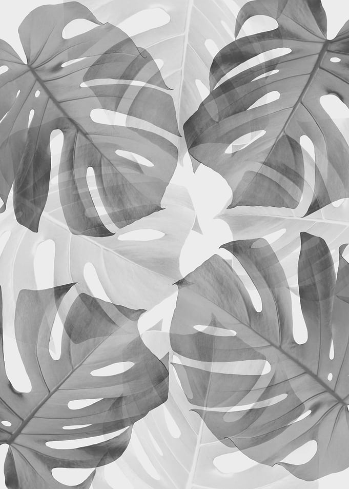 Floral composition 5