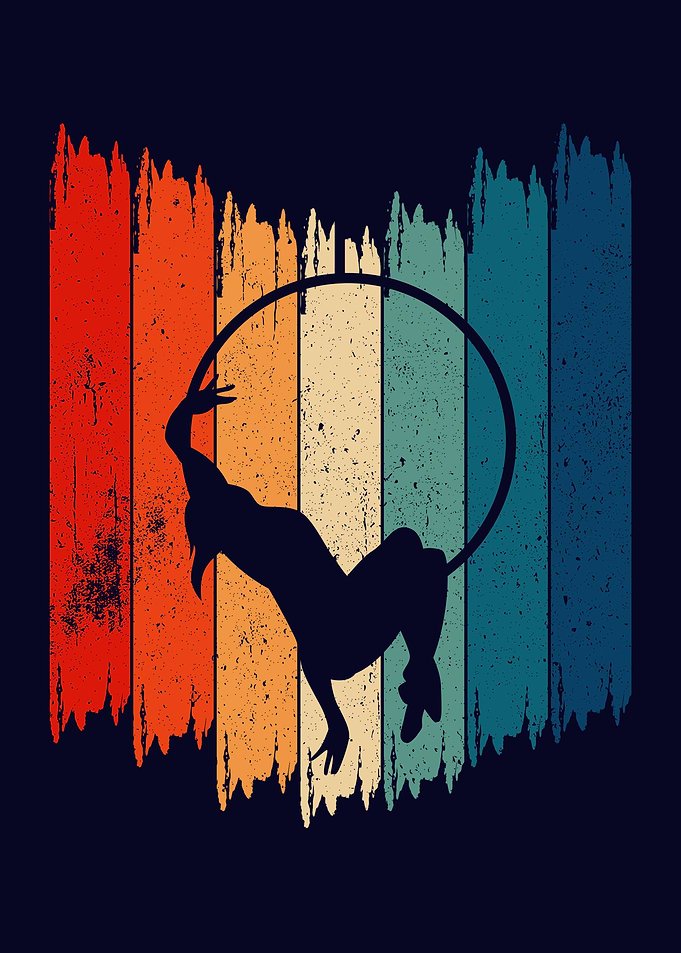 Aerial Hoop Dance