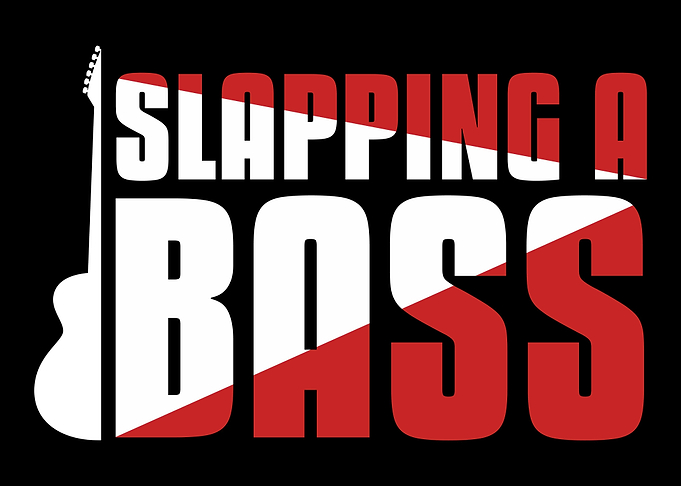 Bass Guitar Bassist