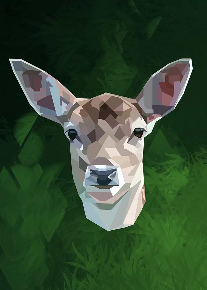 Doe