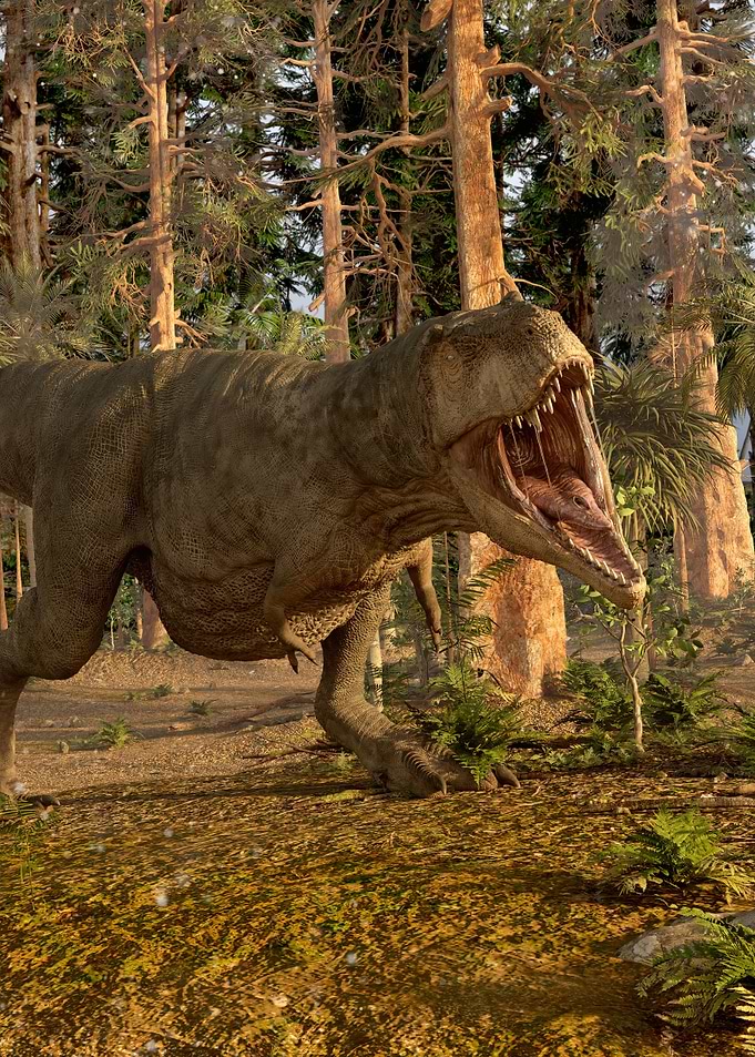 Tyrannosaurus Rex
