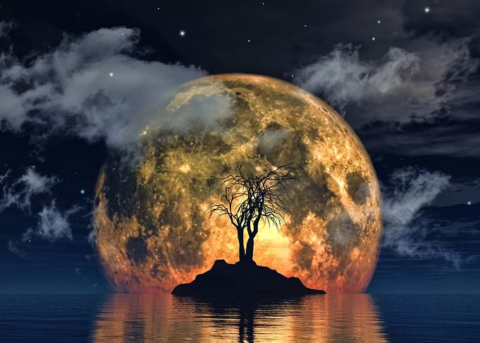 Spooky Ocean Tree