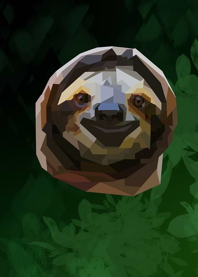 Sloth
