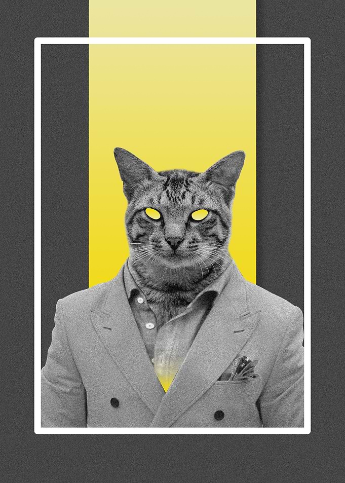 Sire Cat