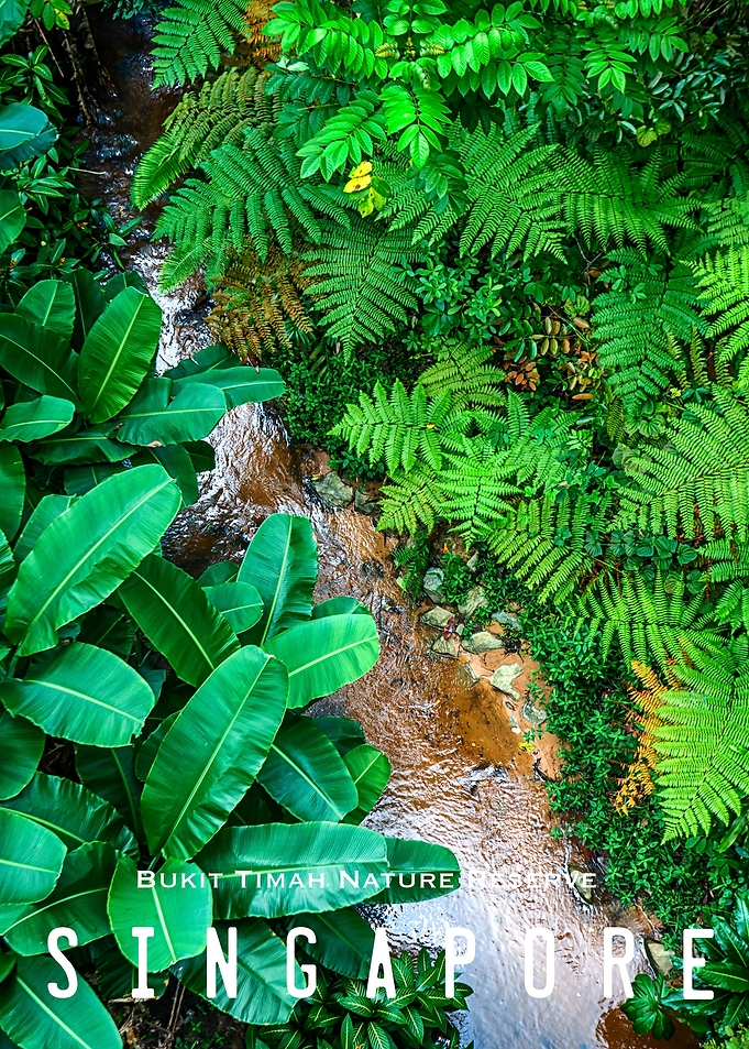 Singapore Bukit Timah