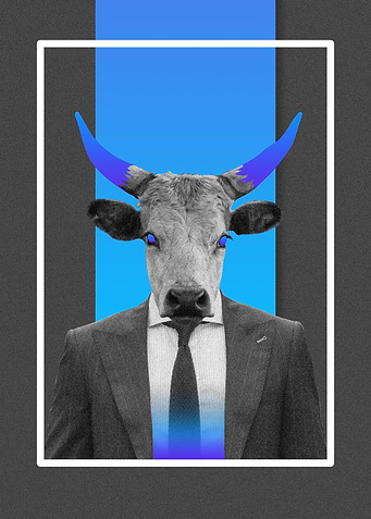 Sire Bull