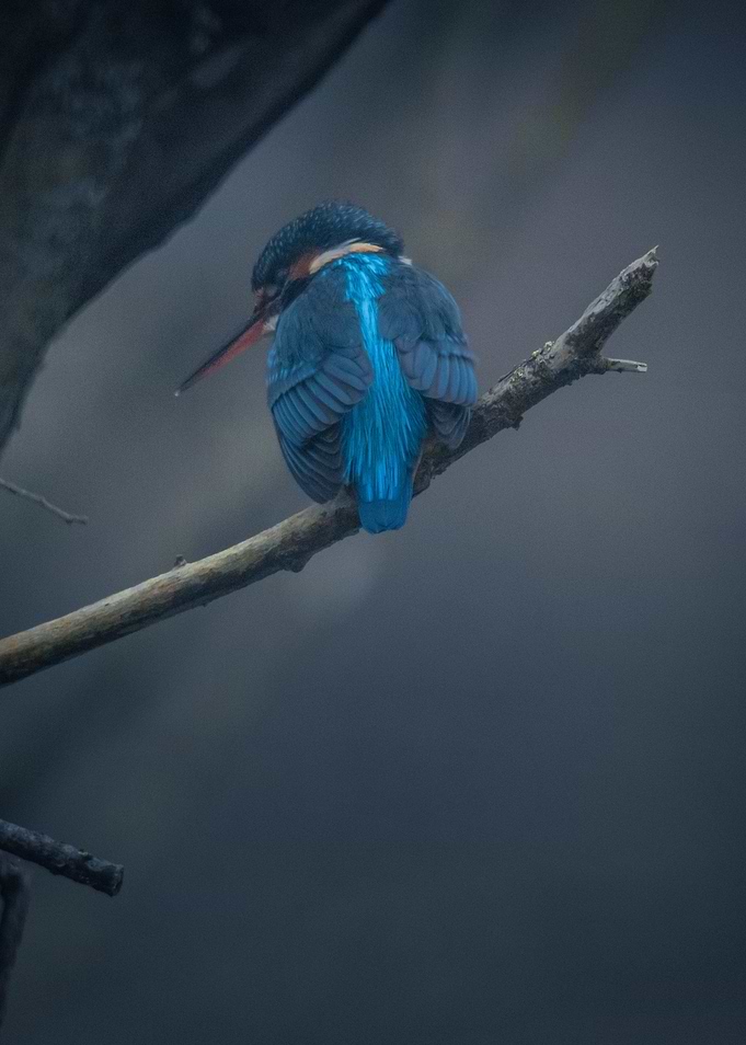 Jewel of the River