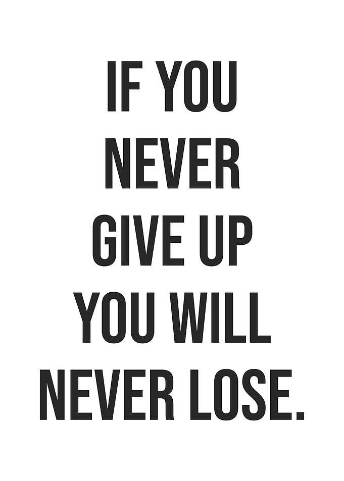 Never Give Up Never Lose