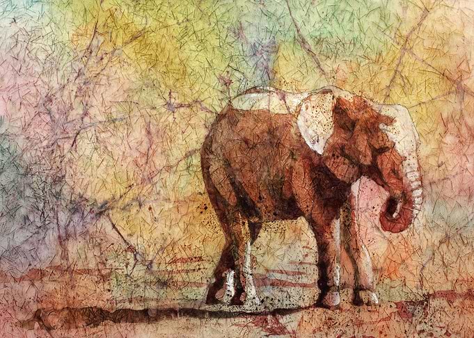 Elephant watercolor art