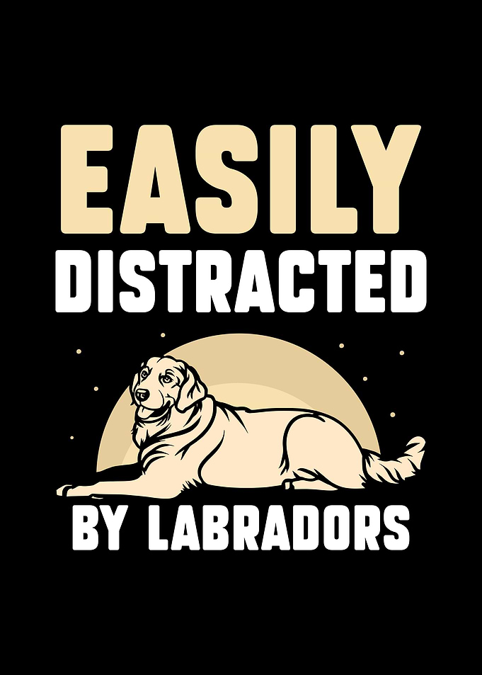 Labrador