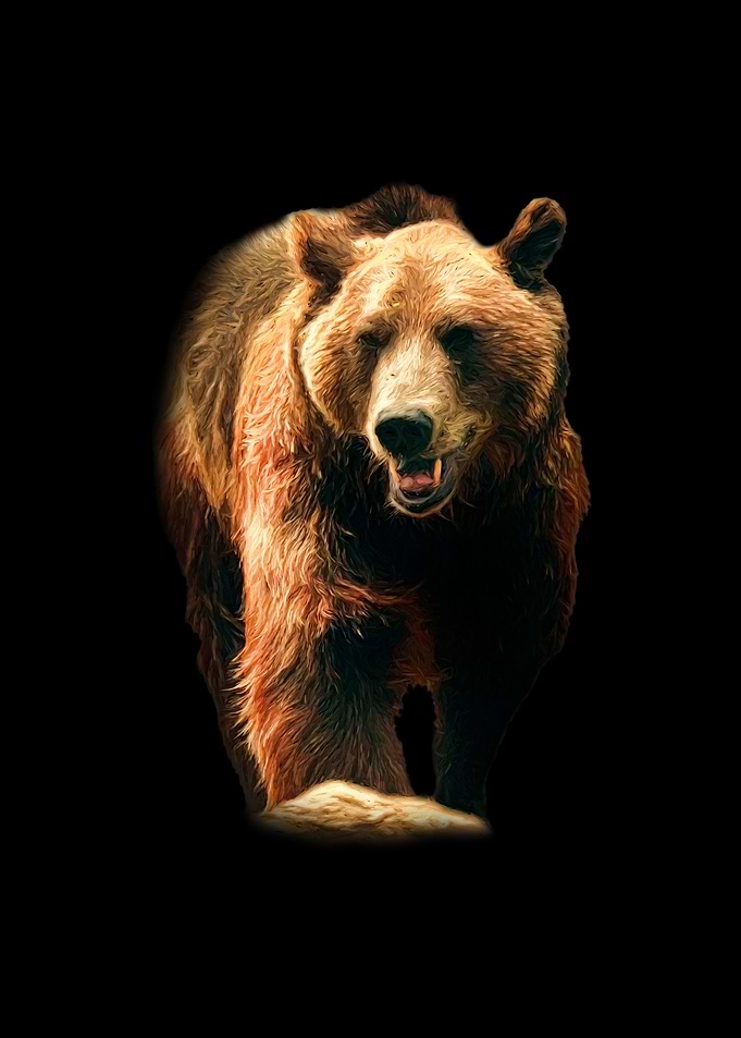 Brown bear