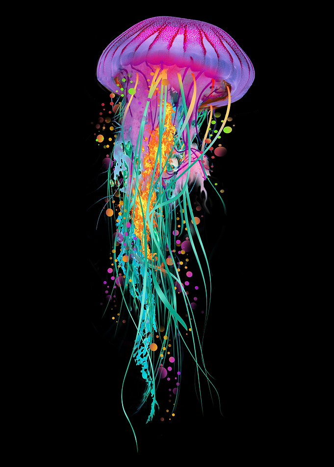 Purple Jellyfish