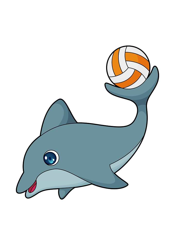 Dolphin Volleyball Sports