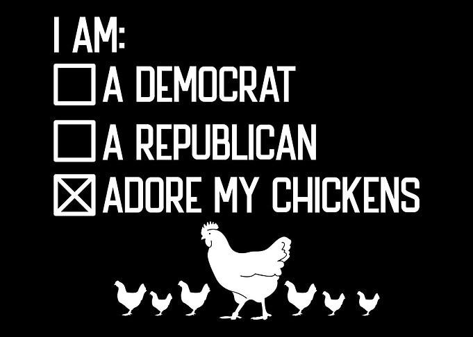 Chicken Hen