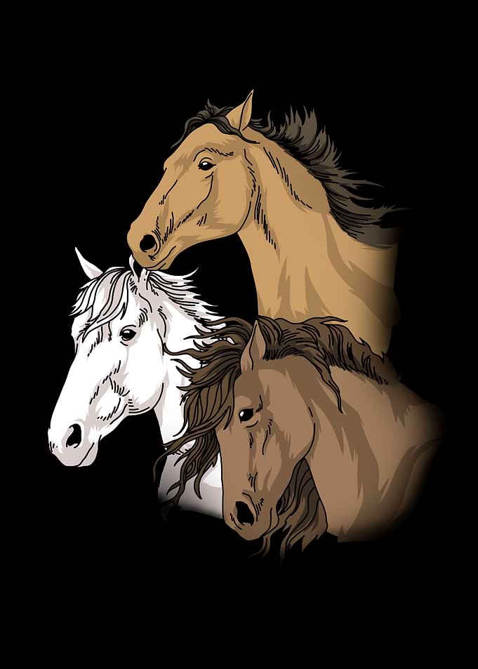 Horse Lover Gift Women