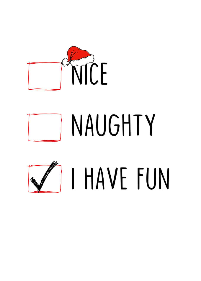 Nice Naughty I Have Fun