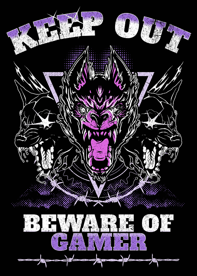 BEWARE OF GAMER