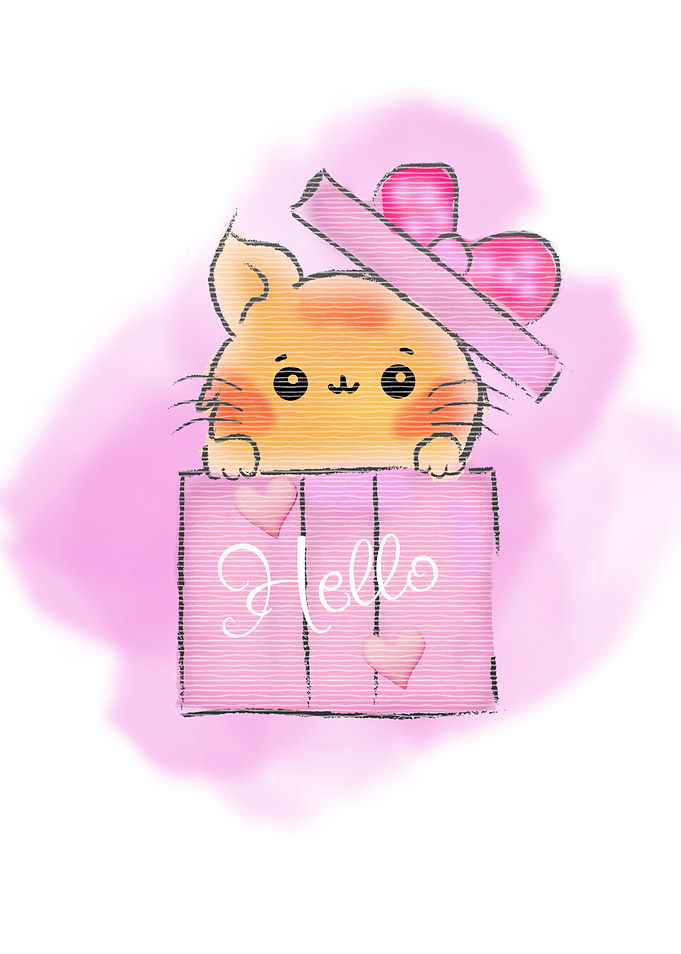 cat hello