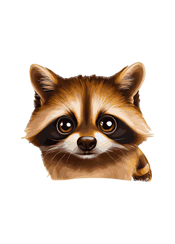 Cute Raccoon
