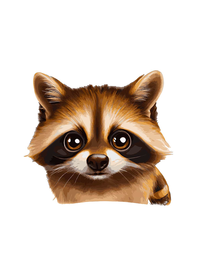 Cute Raccoon