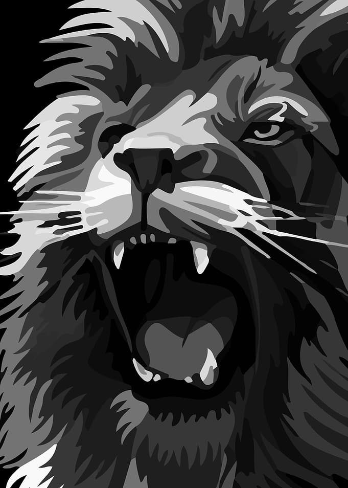 lion