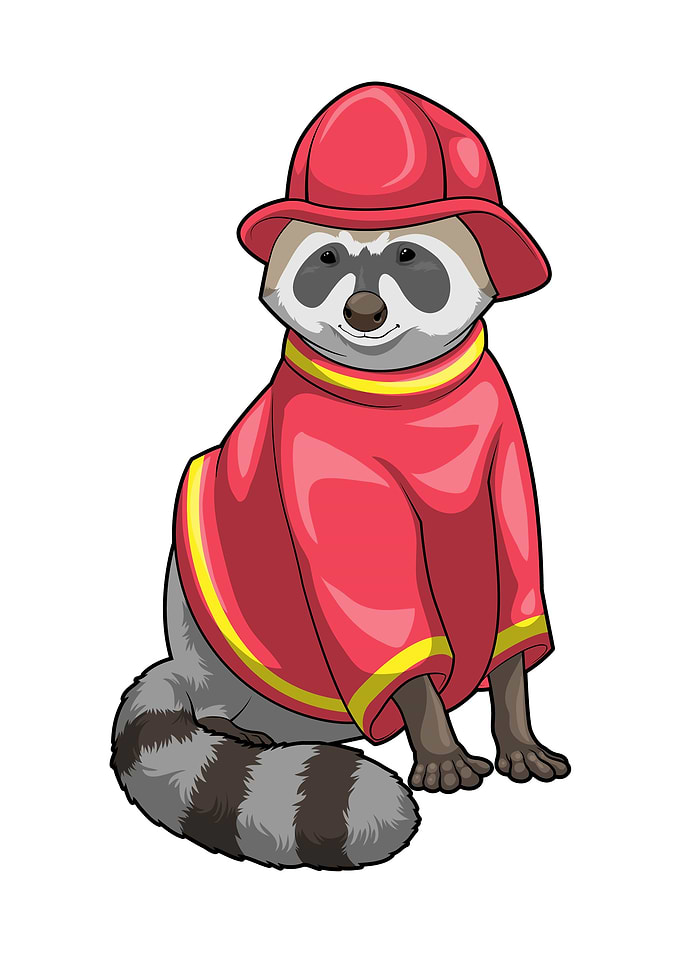 Racoon Firefighter