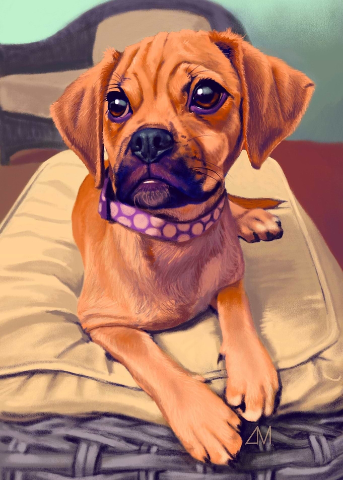 Puppy Eyes