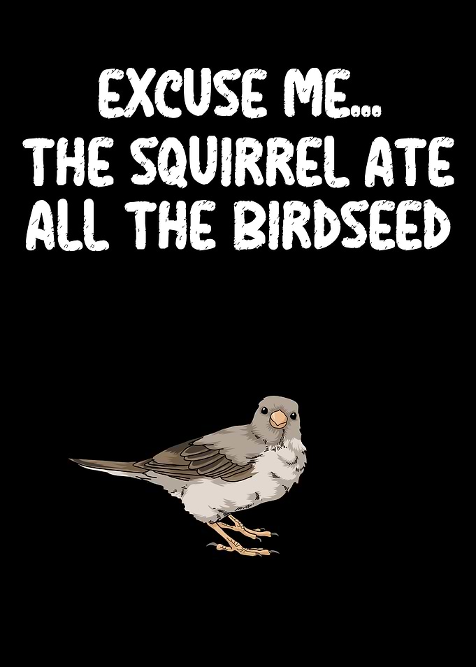 Birdseed Bird Watching