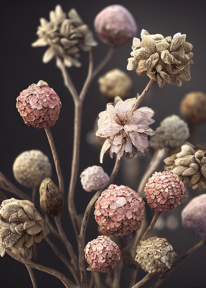 Pink flowers