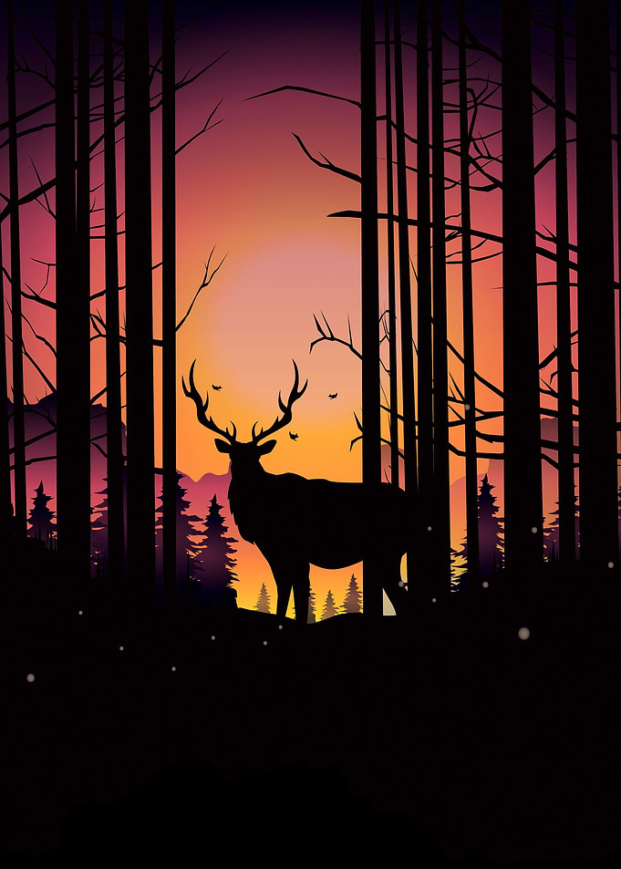 Elks Journey