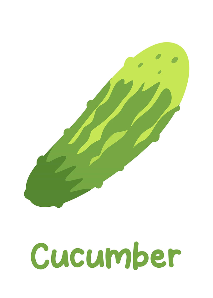 cucumber