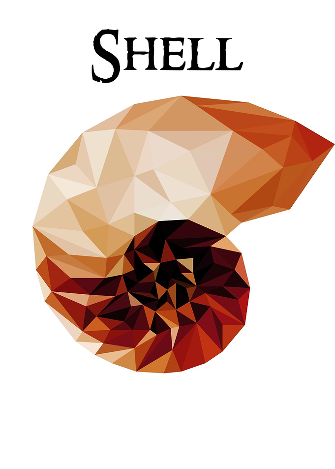 Shell