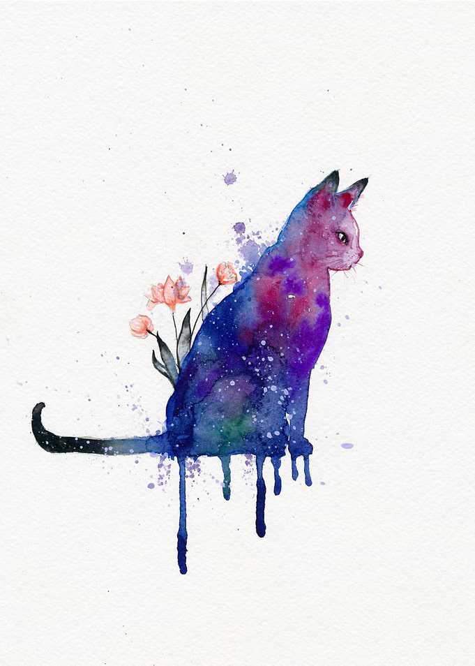 Galaxy Cat