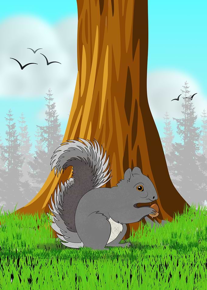 Seth the Squirrel