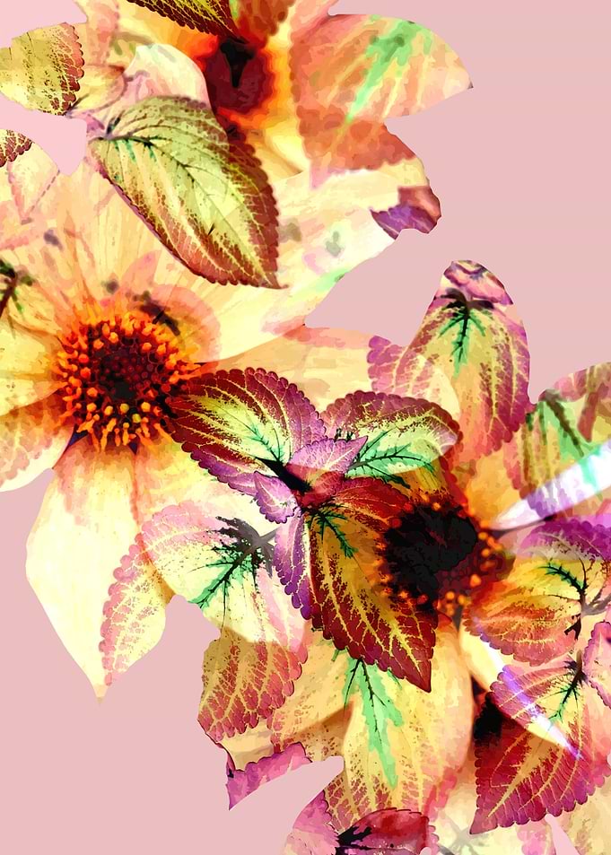 Flower Power