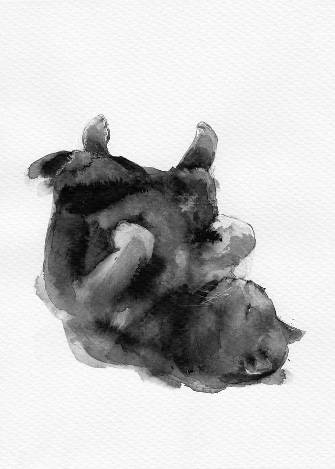 Sleepy Cat