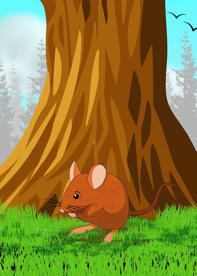 Monte Mouse