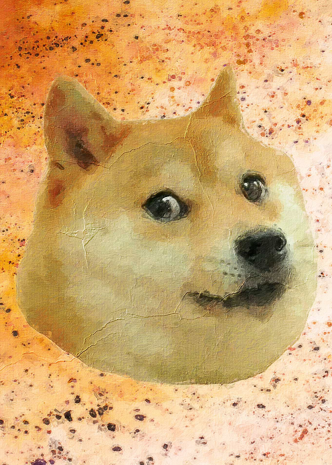 Doge Meme