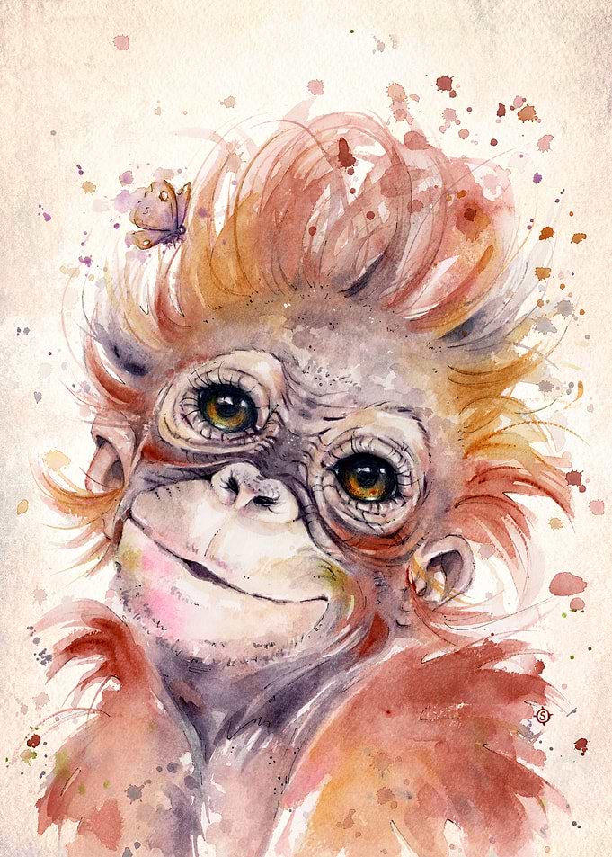 Little Monkey