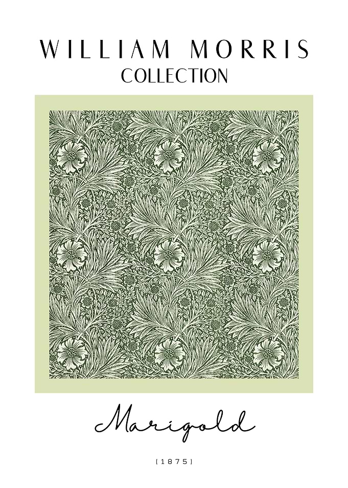 Marigold by Morris