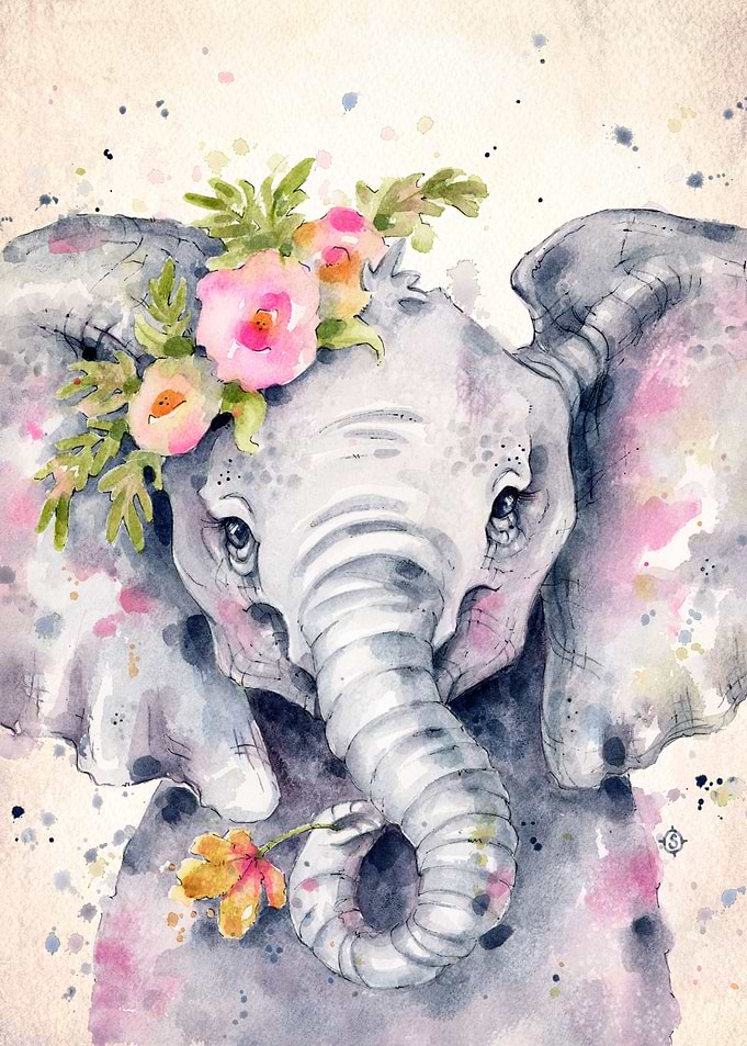 Little Elephant
