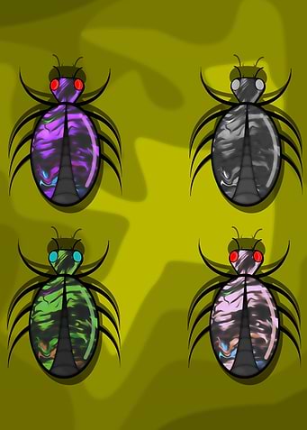 tropical beetles