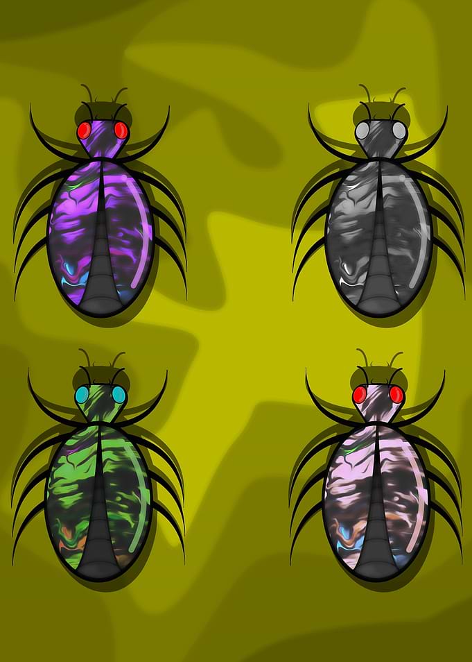 tropical beetles