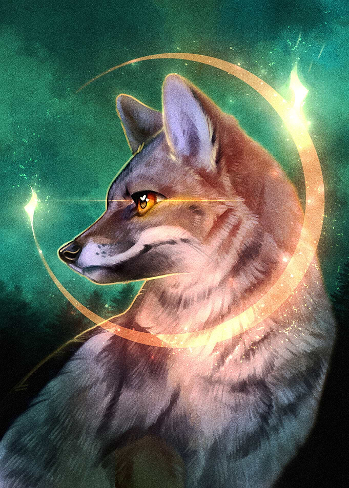 Zorro